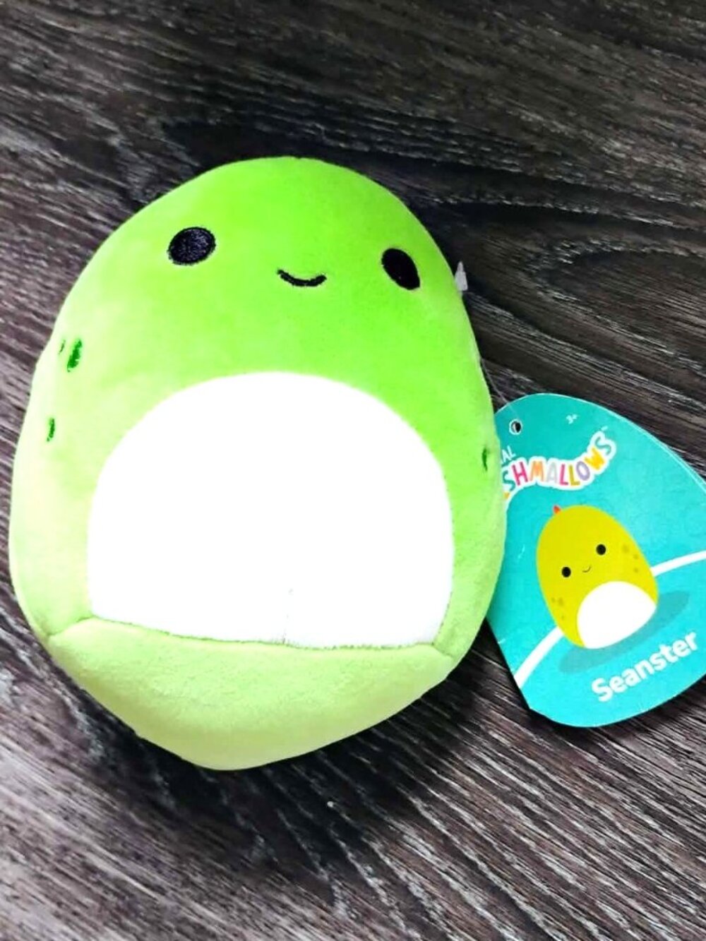 Seanster the Stegosaurus Squishmallow NWT